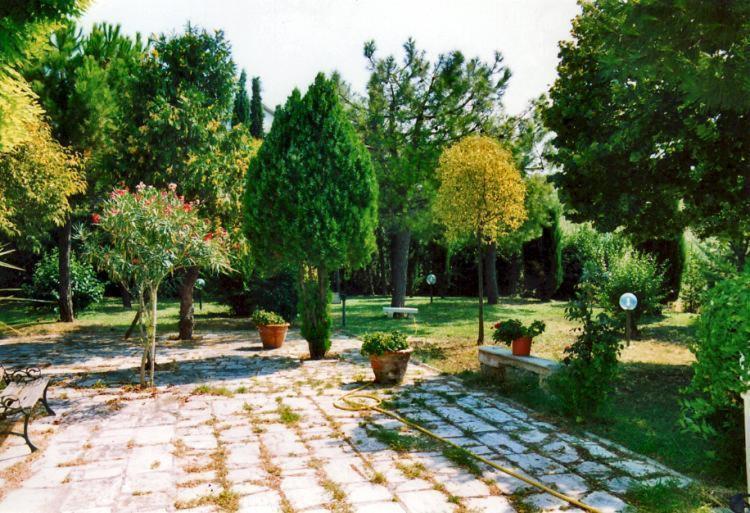Bed&Breakfast Giardino Agritourist Controguerra Kültér fotó